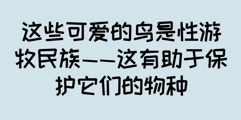 这些可爱的鸟是性游牧民族——这有助于保护它们的物种