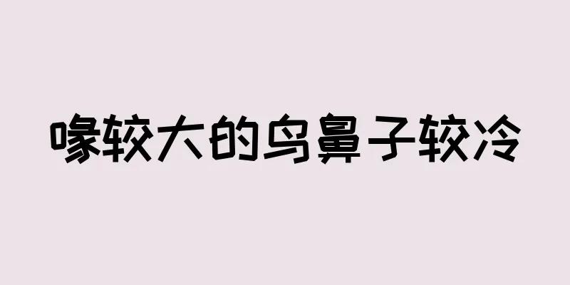 喙较大的鸟鼻子较冷
