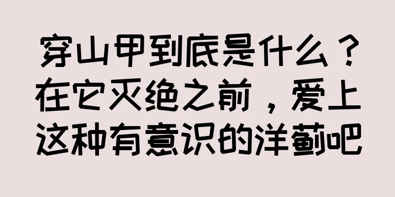 穿山甲到底是什么？在它灭绝之前，爱上这种有意识的洋蓟吧
