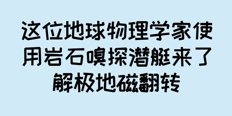 这位地球物理学家使用岩石嗅探潜艇来了解极地磁翻转