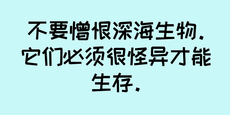 不要憎恨深海生物。它们必须很怪异才能生存。