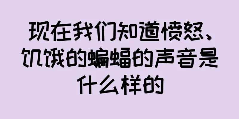 现在我们知道愤怒、饥饿的蝙蝠的声音是什么样的