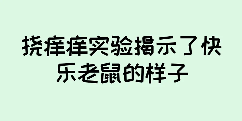 挠痒痒实验揭示了快乐老鼠的样子