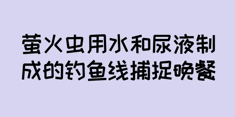 萤火虫用水和尿液制成的钓鱼线捕捉晚餐