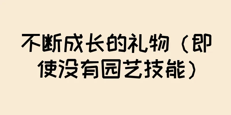 不断成长的礼物（即使没有园艺技能）
