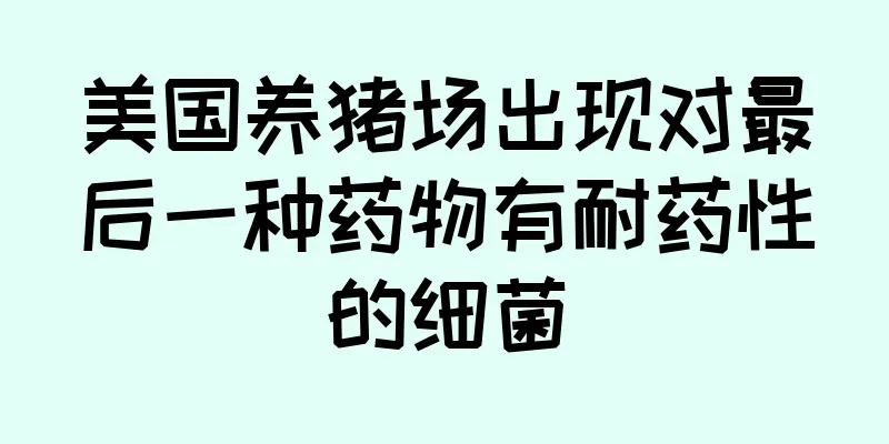 美国养猪场出现对最后一种药物有耐药性的细菌