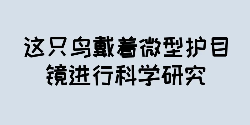 这只鸟戴着微型护目镜进行科学研究
