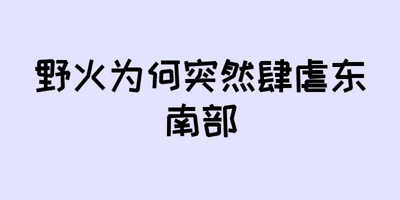 野火为何突然肆虐东南部