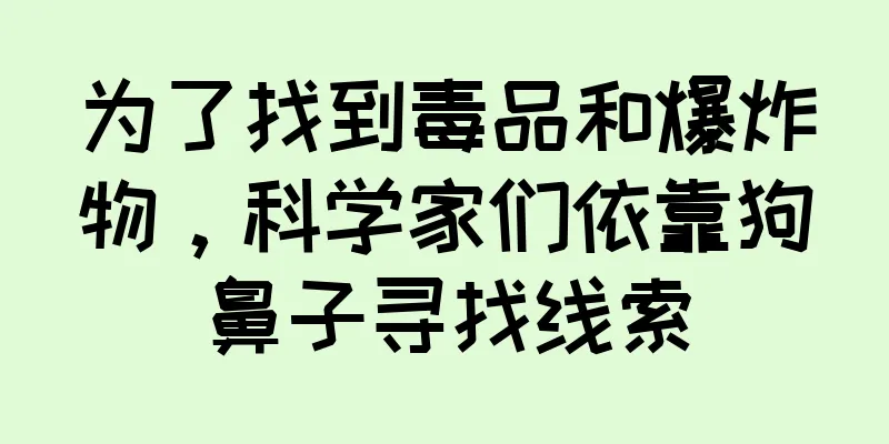 为了找到毒品和爆炸物，科学家们依靠狗鼻子寻找线索