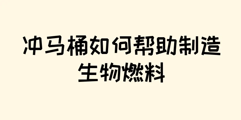 冲马桶如何帮助制造生物燃料
