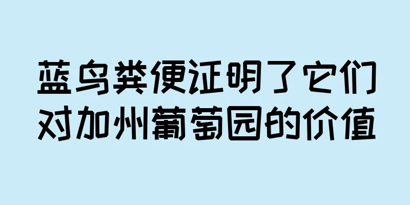 蓝鸟粪便证明了它们对加州葡萄园的价值