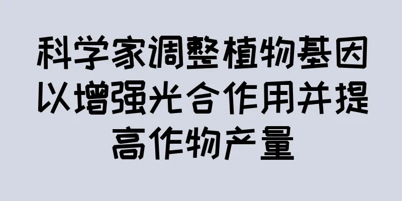 科学家调整植物基因以增强光合作用并提高作物产量