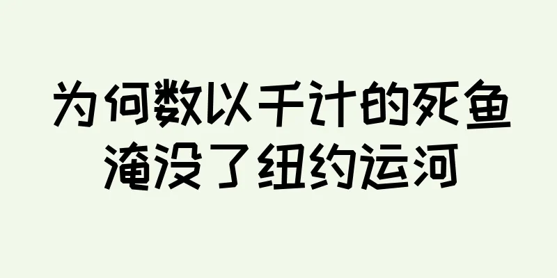 为何数以千计的死鱼淹没了纽约运河