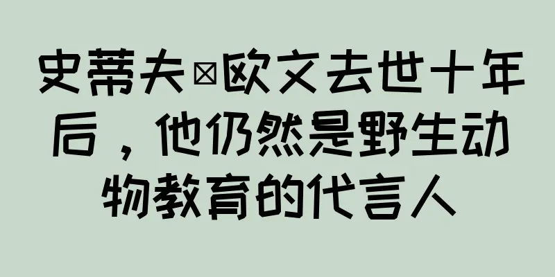 史蒂夫·欧文去世十年后，他仍然是野生动物教育的代言人