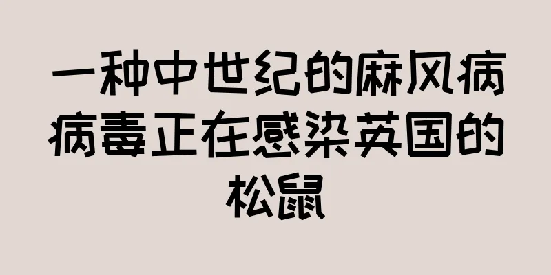 一种中世纪的麻风病病毒正在感染英国的松鼠