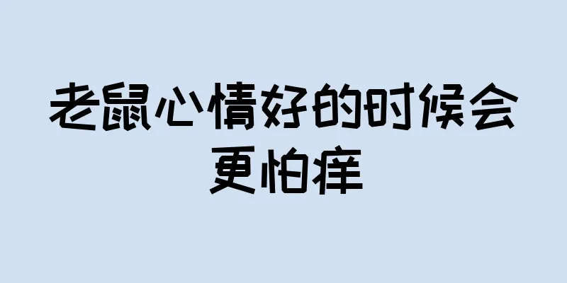 老鼠心情好的时候会更怕痒