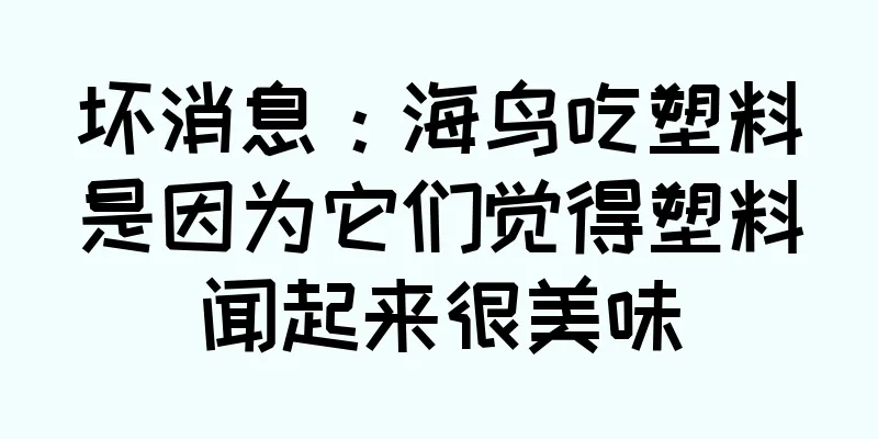 坏消息：海鸟吃塑料是因为它们觉得塑料闻起来很美味