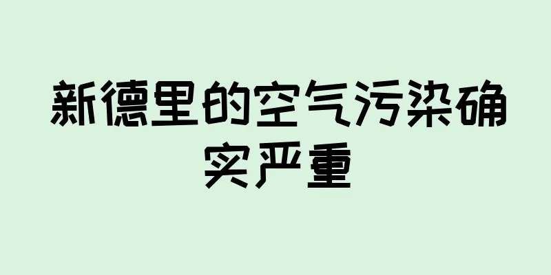 新德里的空气污染确实严重