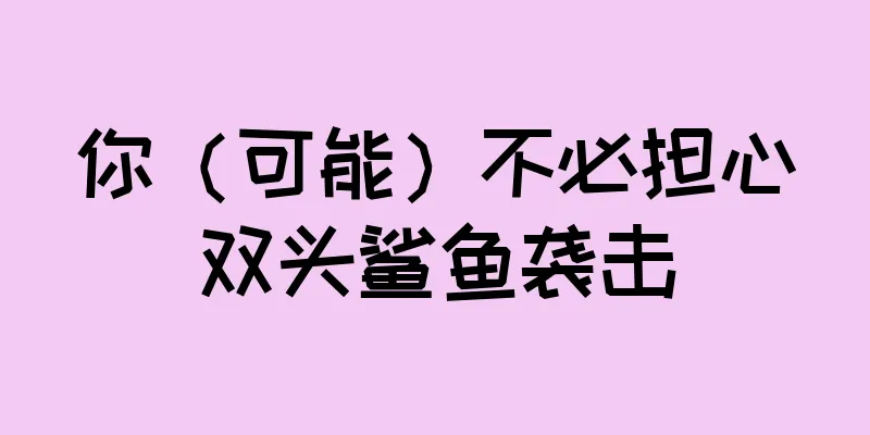 你（可能）不必担心双头鲨鱼袭击