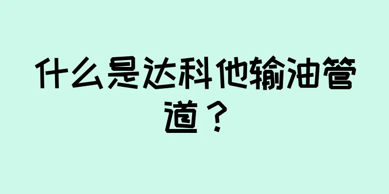 什么是达科他输油管道？