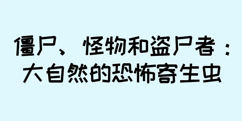 僵尸、怪物和盗尸者：大自然的恐怖寄生虫