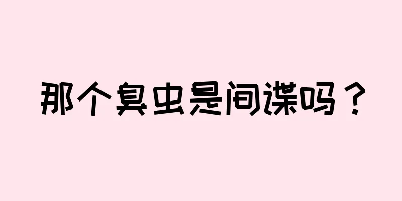 那个臭虫是间谍吗？