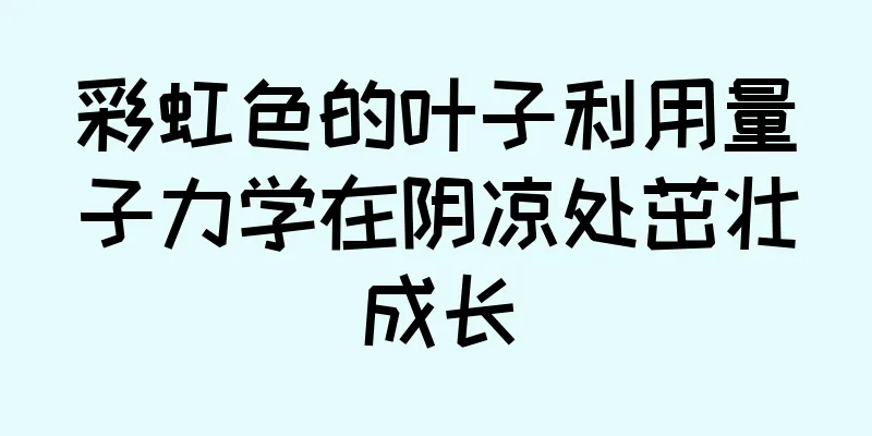 彩虹色的叶子利用量子力学在阴凉处茁壮成长