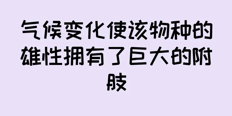 气候变化使该物种的雄性拥有了巨大的附肢