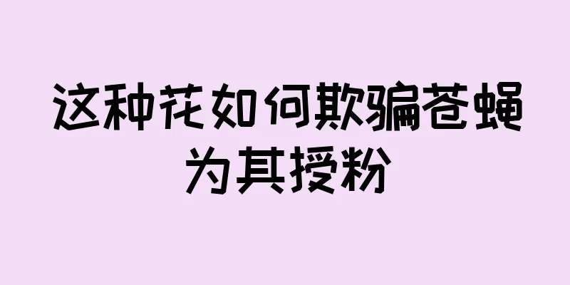 这种花如何欺骗苍蝇为其授粉