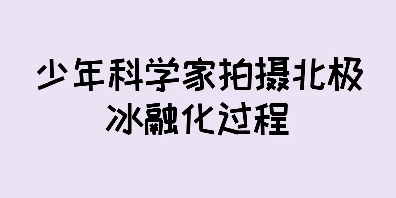 少年科学家拍摄北极冰融化过程
