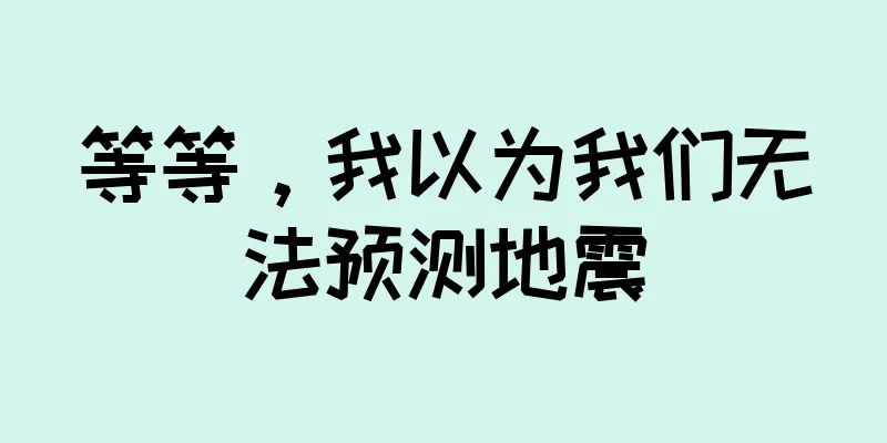 等等，我以为我们无法预测地震