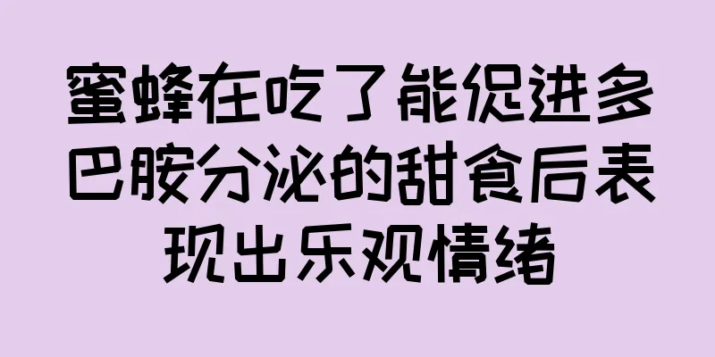 蜜蜂在吃了能促进多巴胺分泌的甜食后表现出乐观情绪