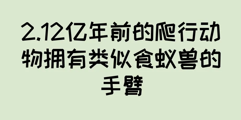 2.12亿年前的爬行动物拥有类似食蚁兽的手臂