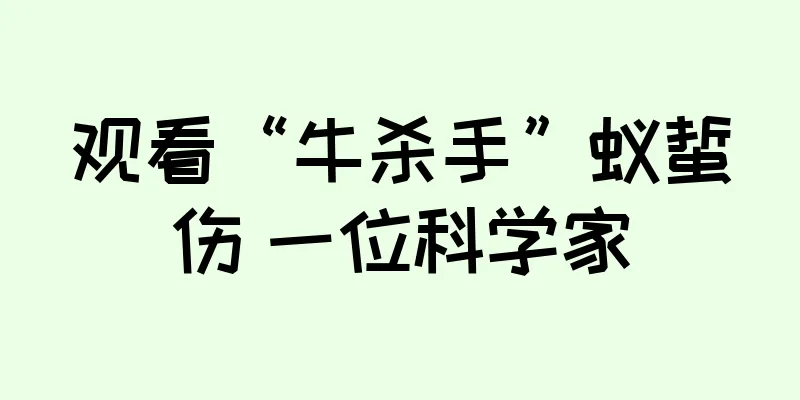 观看“牛杀手”蚁蜇伤 一位科学家