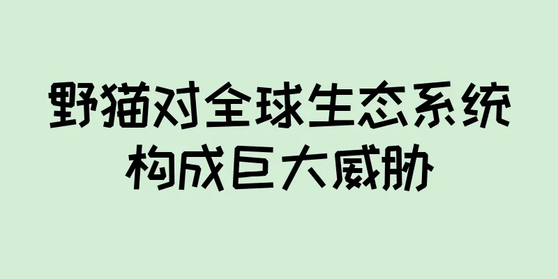 野猫对全球生态系统构成巨大威胁