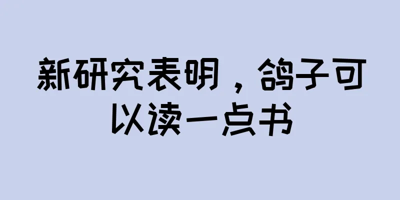 新研究表明，鸽子可以读一点书