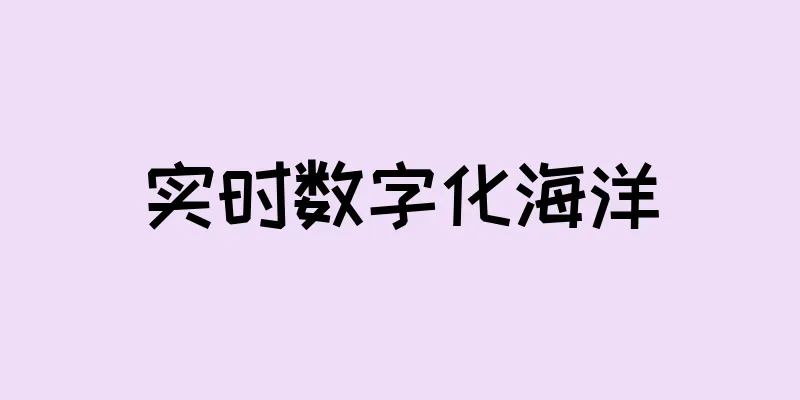 实时数字化海洋