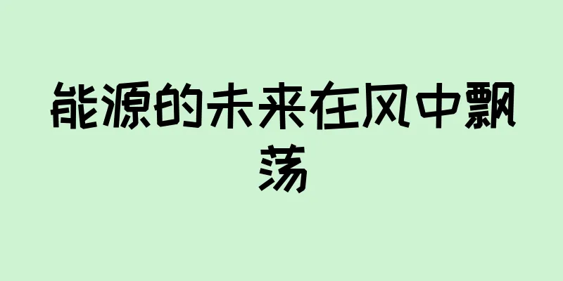 能源的未来在风中飘荡