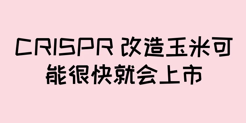 CRISPR 改造玉米可能很快就会上市