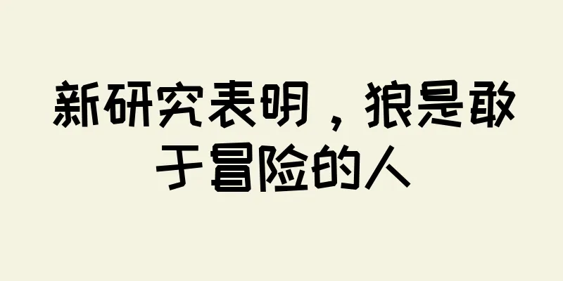 新研究表明，狼是敢于冒险的人