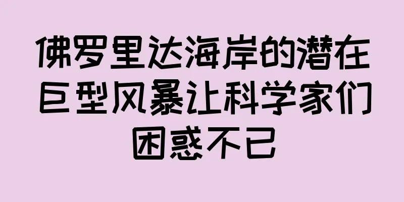 佛罗里达海岸的潜在巨型风暴让科学家们困惑不已