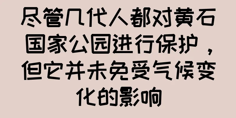 尽管几代人都对黄石国家公园进行保护，但它并未免受气候变化的影响