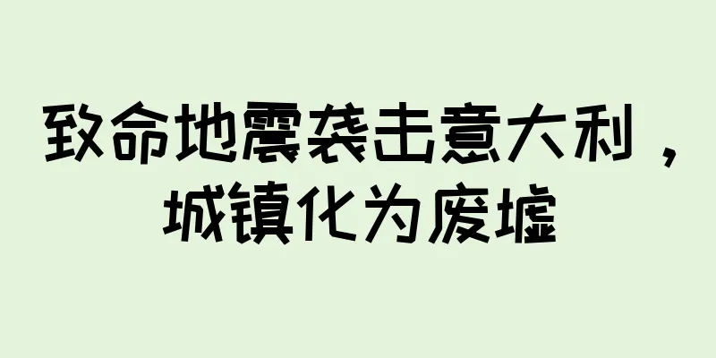 致命地震袭击意大利，城镇化为废墟