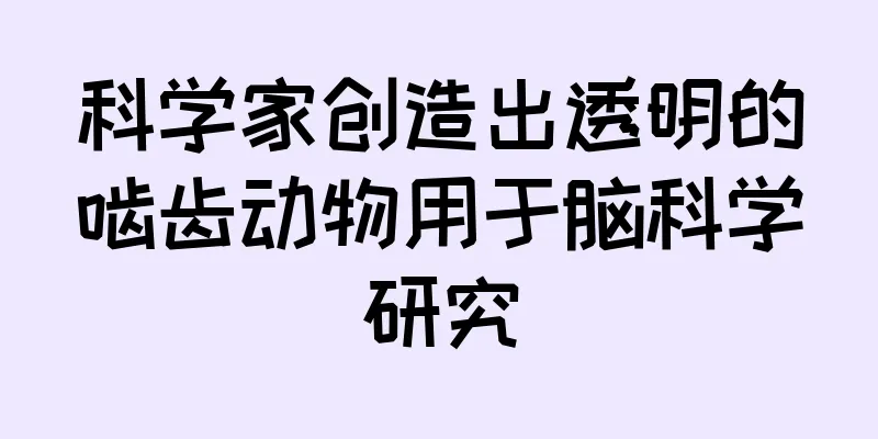 科学家创造出透明的啮齿动物用于脑科学研究