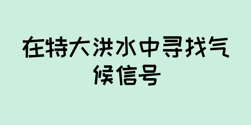 在特大洪水中寻找气候信号
