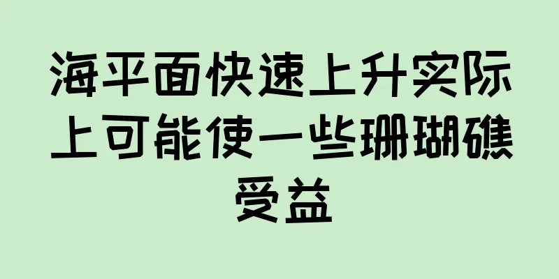 海平面快速上升实际上可能使一些珊瑚礁受益