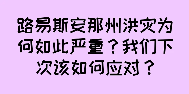 路易斯安那州洪灾为何如此严重？我们下次该如何应对？
