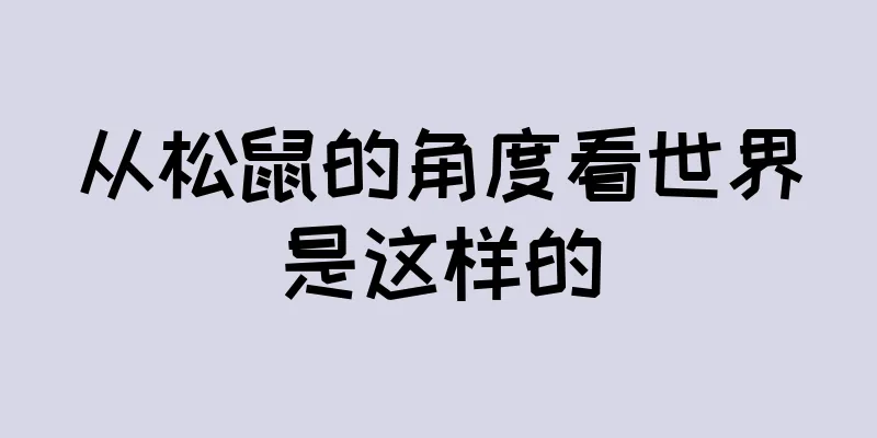 从松鼠的角度看世界是这样的