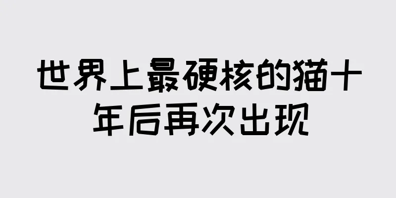 世界上最硬核的猫十年后再次出现