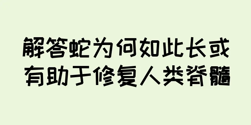解答蛇为何如此长或有助于修复人类脊髓